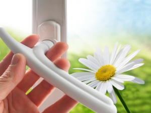 Fenster